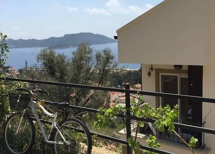 Kasinn Beyaz Daire *